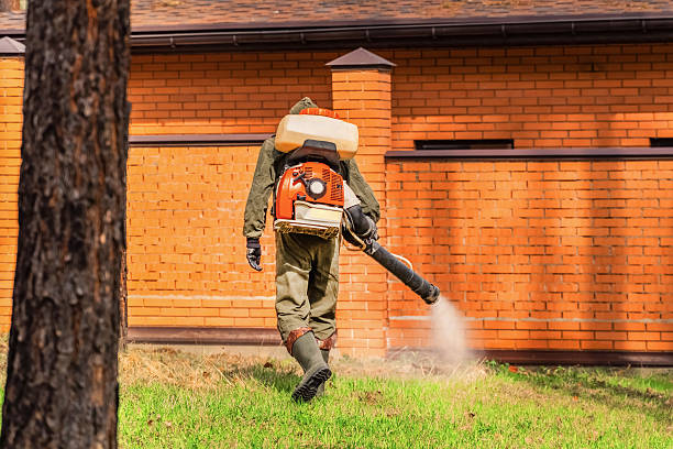 Bed Bug Clearance Verification and Documentation in Sun Village